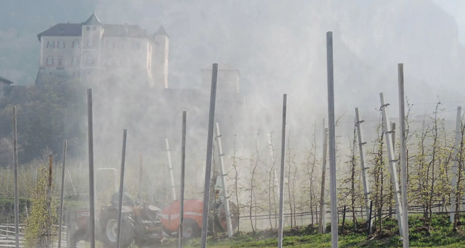Pesticidi, a rischio oltre alle api uccelli, farfalle, altri insetti