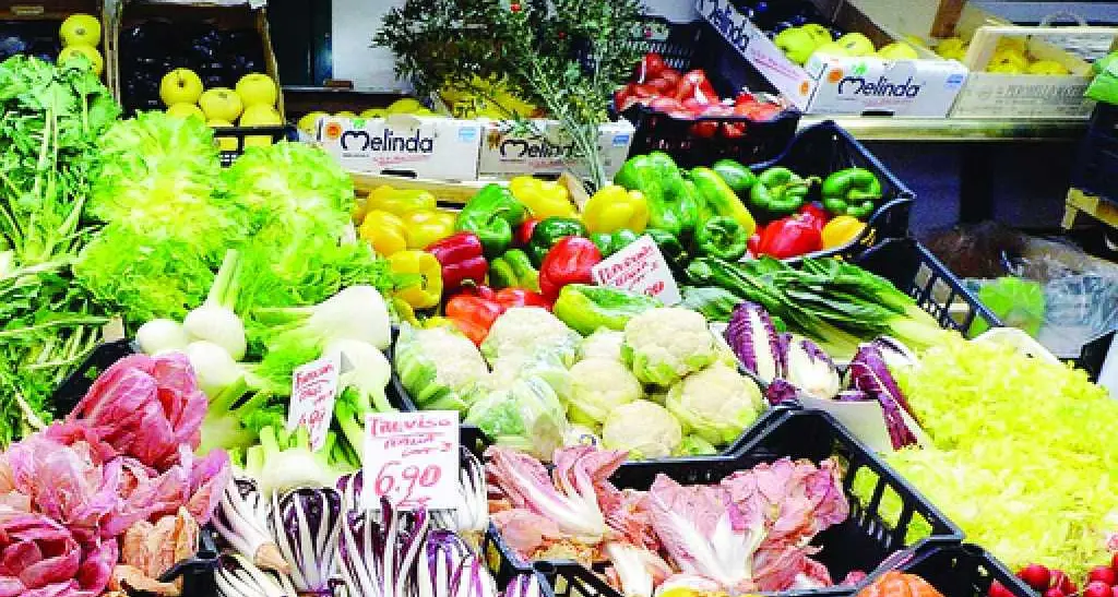 Verdure care e ghiacciate Col freddo produzioni ko