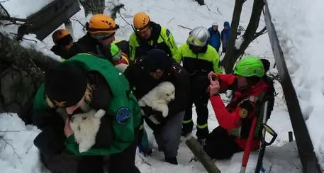 Rigopiano: trovati vivi tre cuccioli