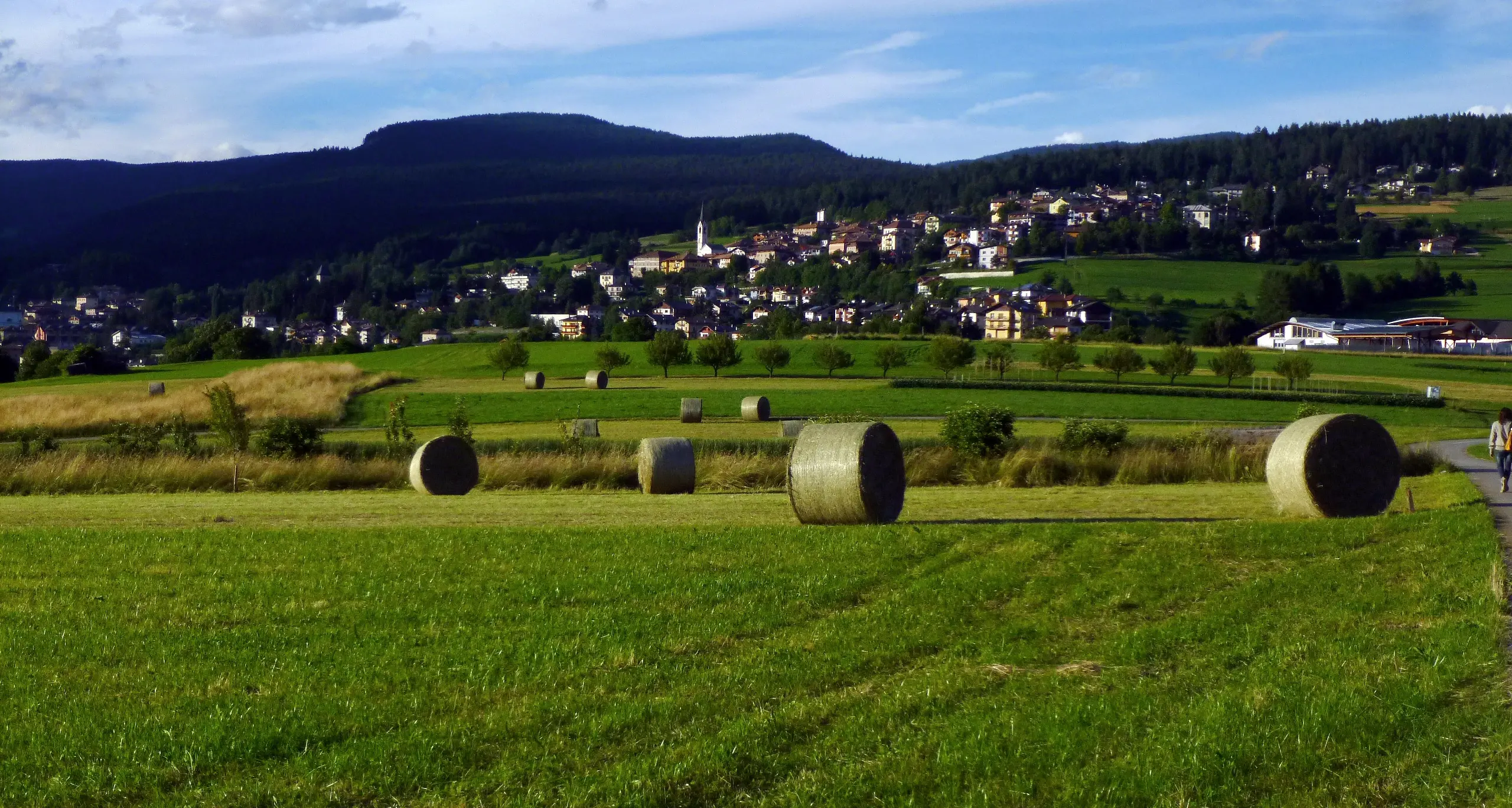 Alta Val di Non, i Comuni resistono sul nome