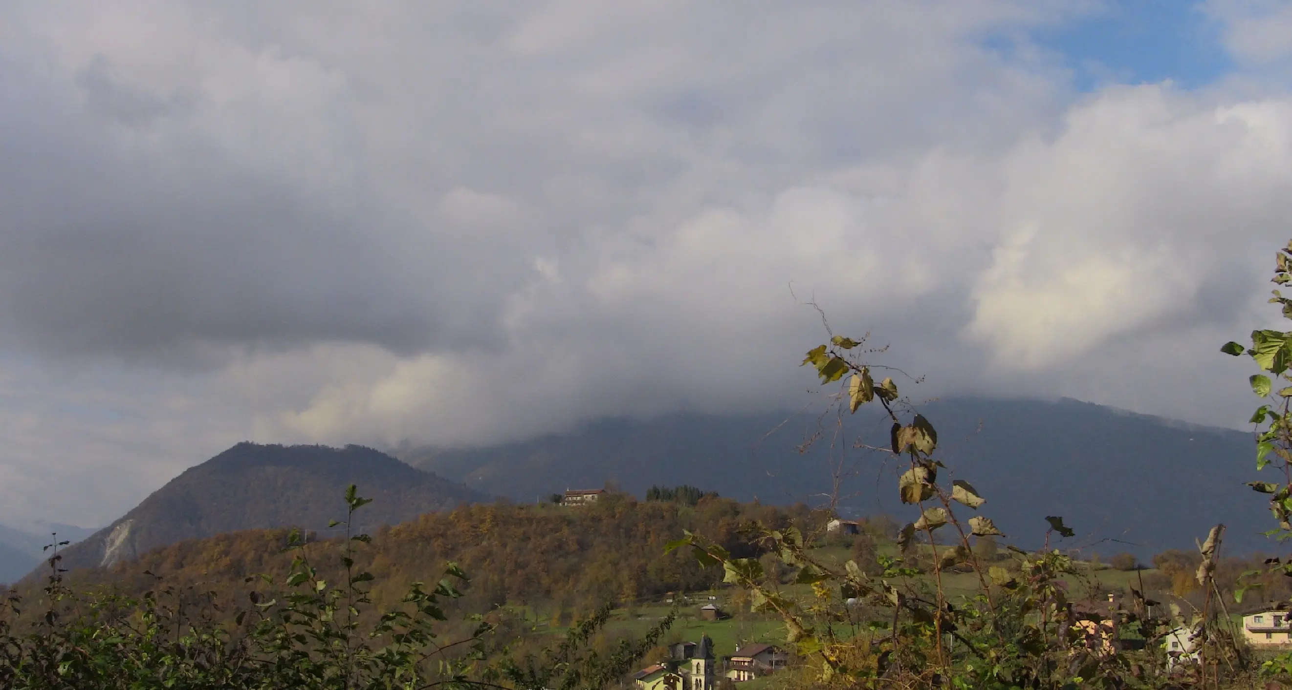 Pesticidi, dopo Belluno sì al divieto anche a Feltre