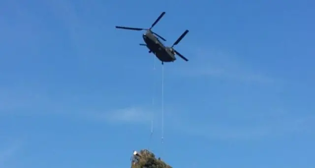 Dal Trentino l'albero di Natale che svetterà in San Pietro