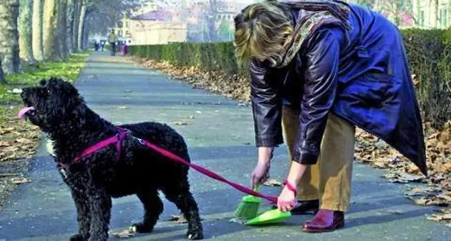 Troppe cacche, polizia locale controllerà i padroni