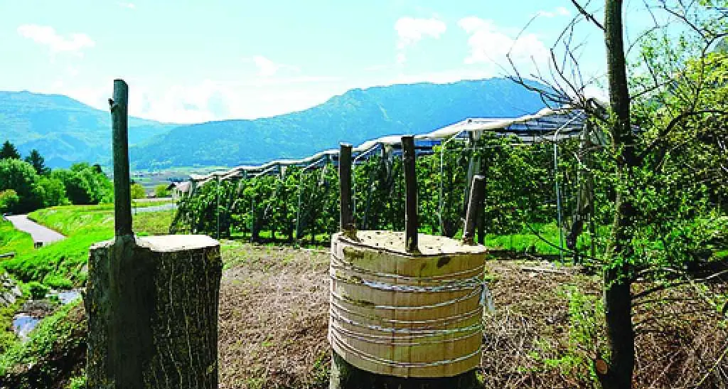 Noce, obiettivo presidio slow food