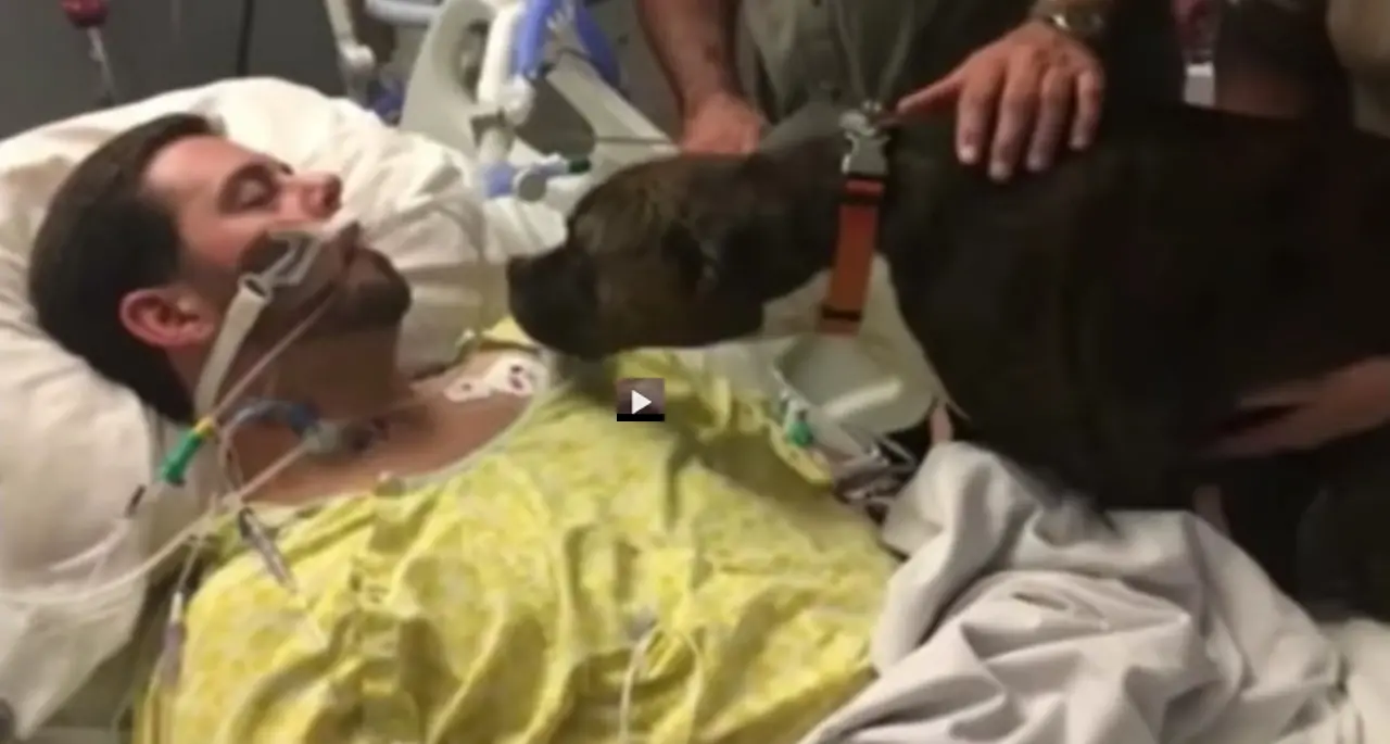 L'addio del cane in ospedale Il video che commuove