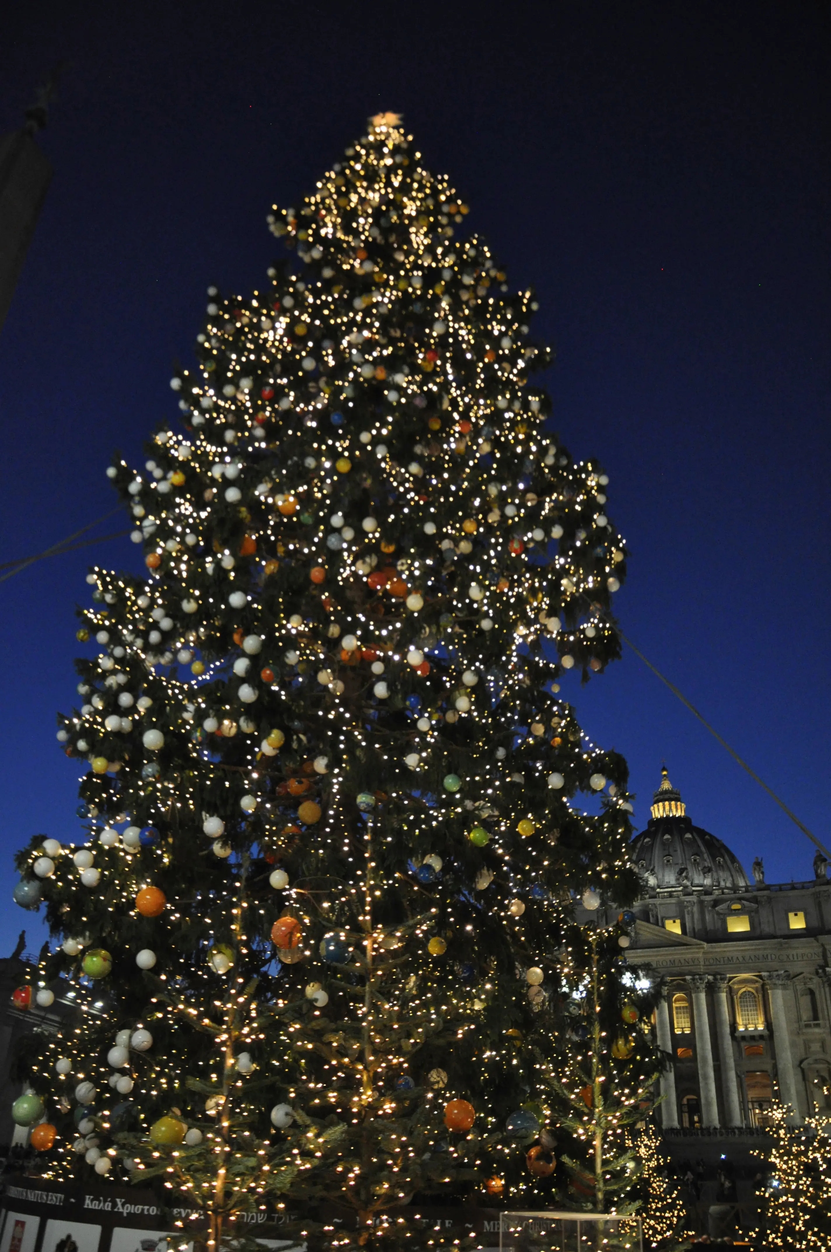 Albero di Natale: come sceglierlo e come farlo durare