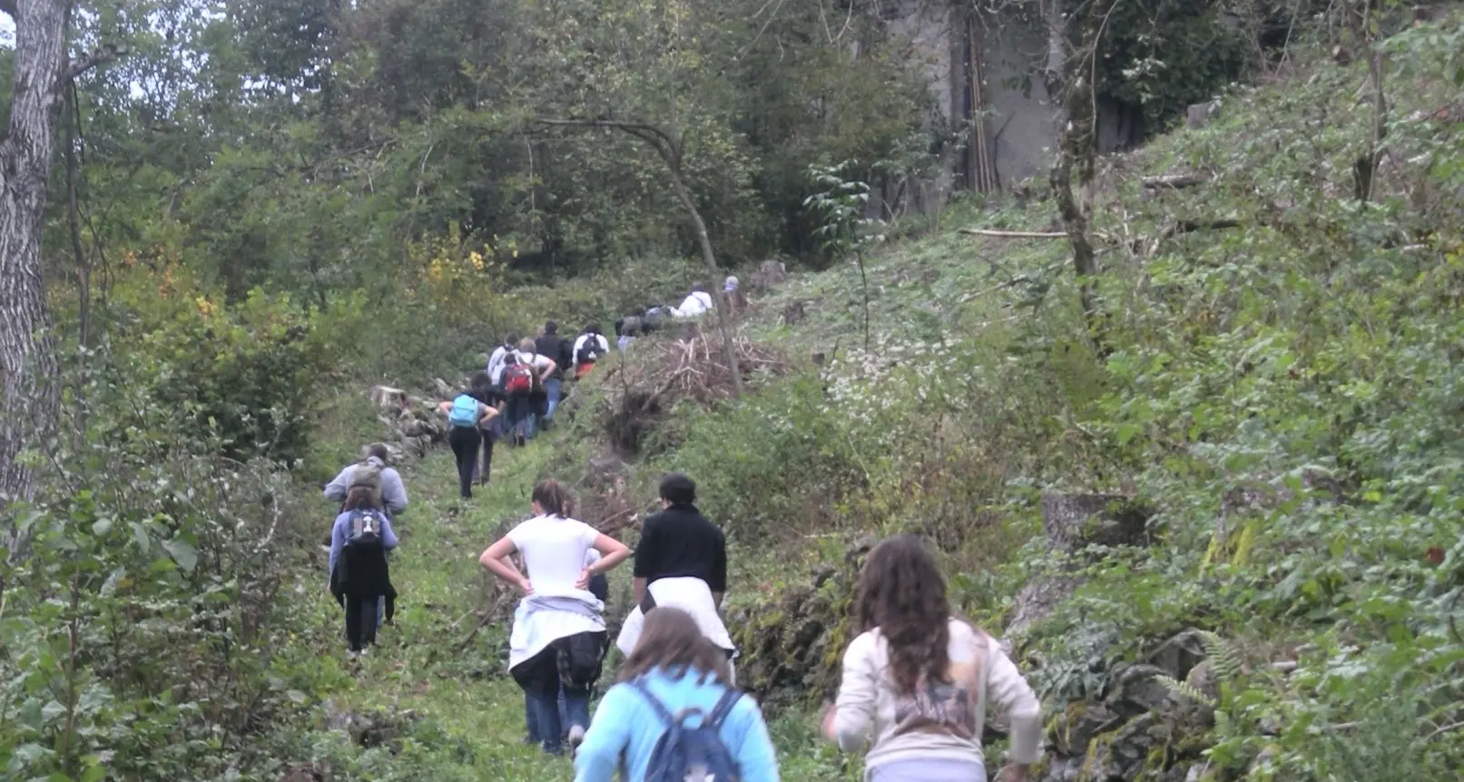 Camminare per capire meglio