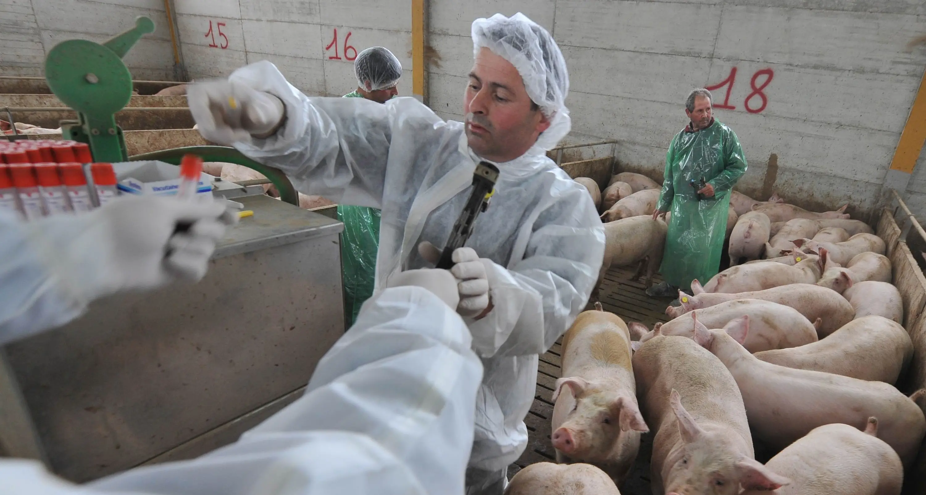 Oltre il 70% degli antibiotici venduti in Italia viene utilizzato per gli animali da macello