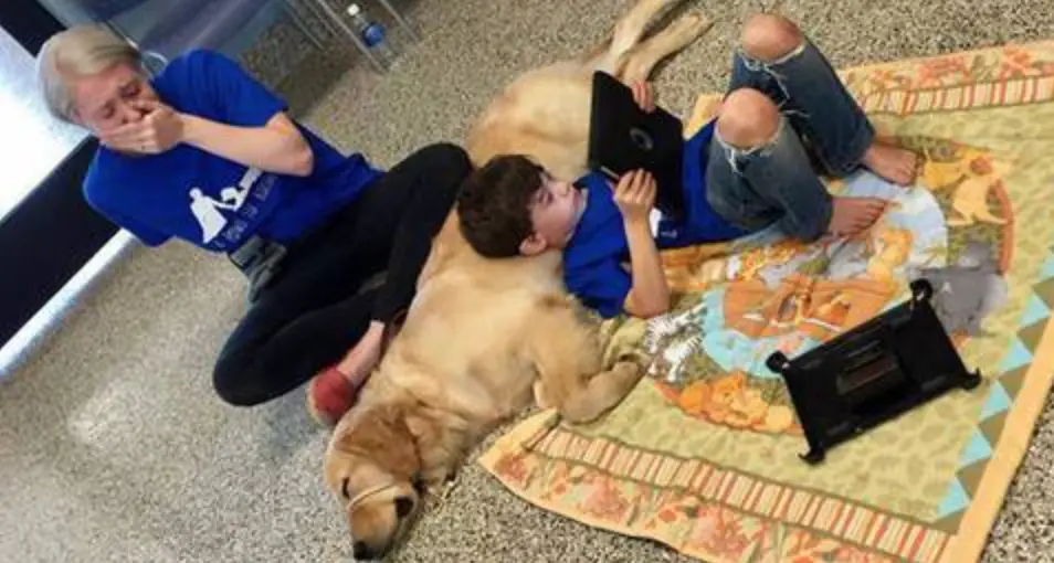 Bimbo autistico fa amicizia con un cane, foto fa giro web