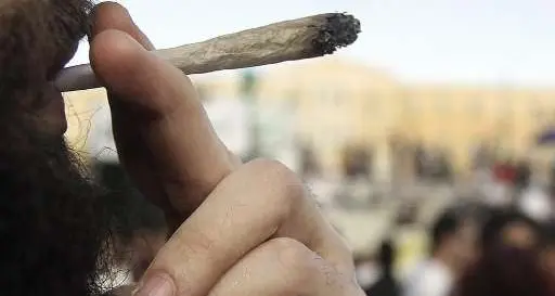 L'Italia è terzo Paese in Ue per consumo di cannabis