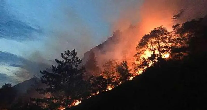 Roghi nei boschi in val di Ledro e dintorni Fermato uomo in possesso di sparafiamma