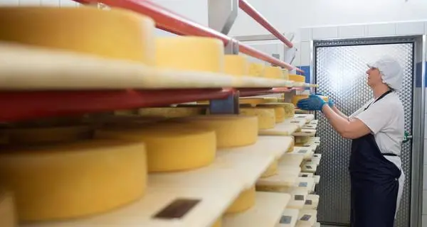 Batterio nel latte, due nei guai al Caseificio di Coredo