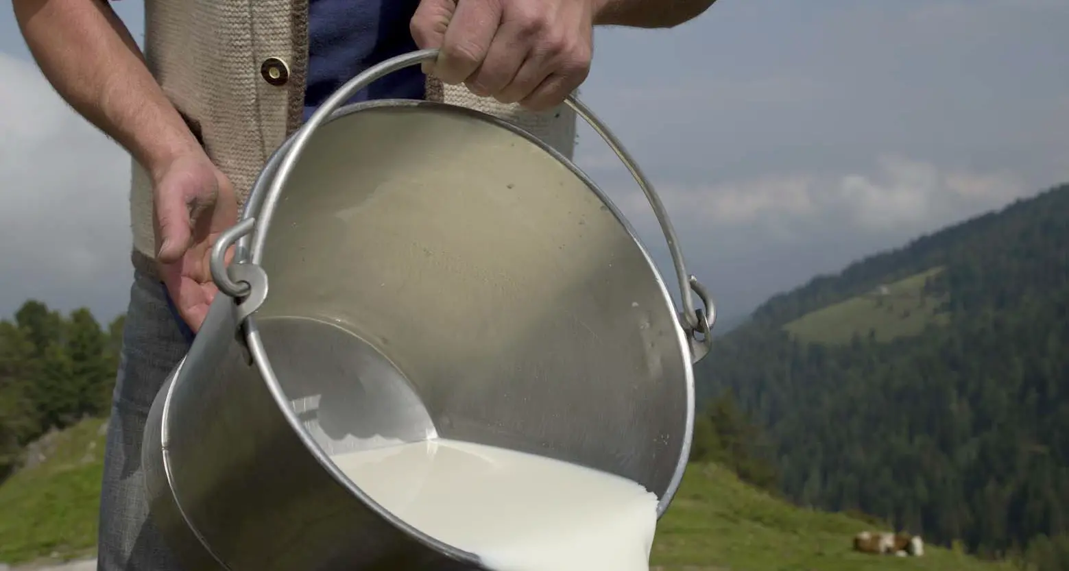 Intossicati dal latte crudo I casi gravi sono stati 4