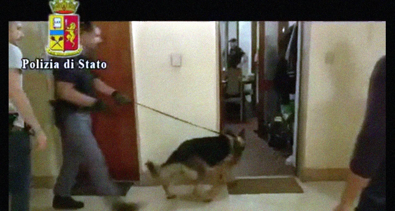 Appiano, 40enne arrestato Droga e sciabole in casa