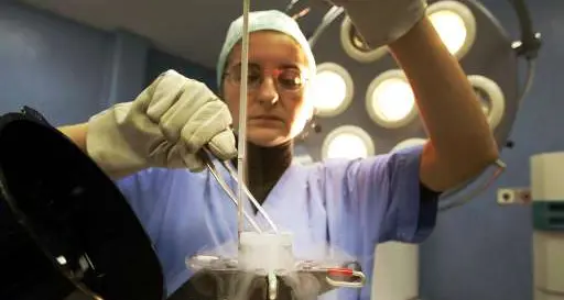 Fertility Day, Laici: «Trentino ostile alla procreazione eterologa»
