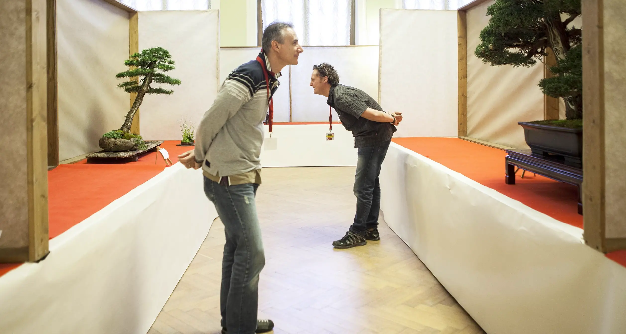 Arcobonsai torna e ospita le conventions europee