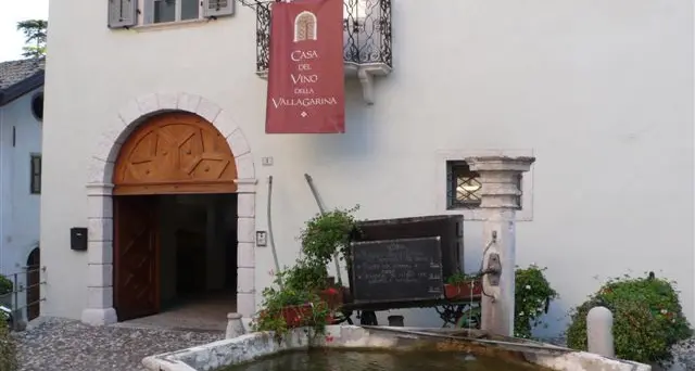 Fioriere, aiuole e fontane: «Cerchiamo chi le curi»