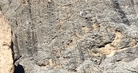 Sassolungo, il parapendio s'impiglia sulla roccia 19enne sloveno salvato con un difficile intervento