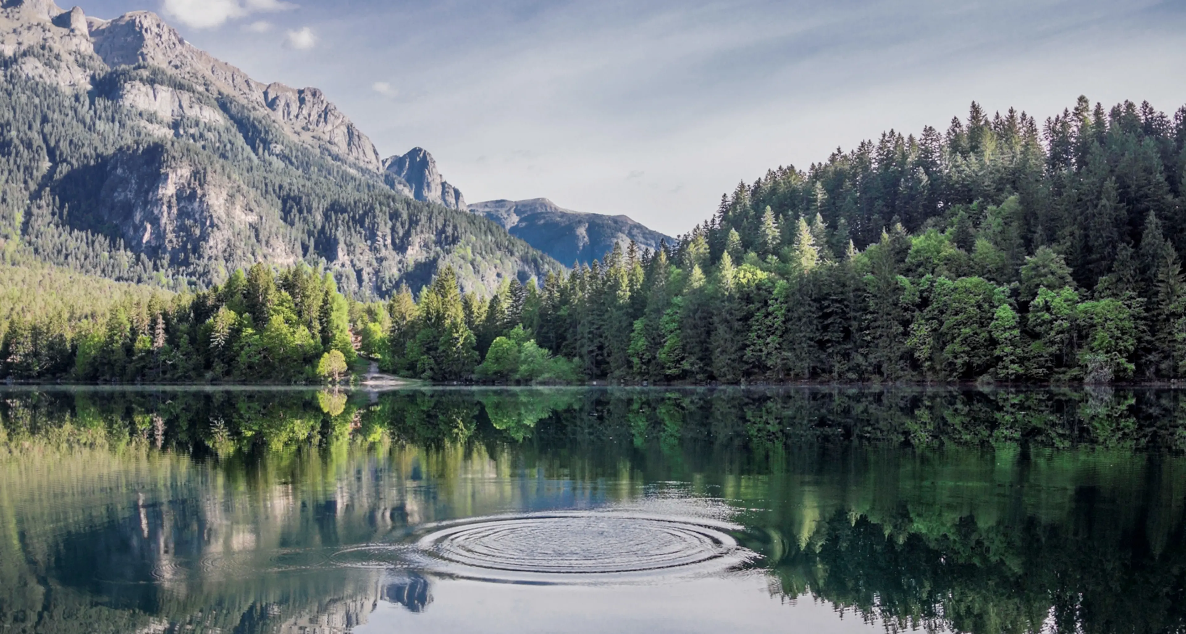 Val di Tovel, telefoni muti I ghiri rosicchiano i cavi