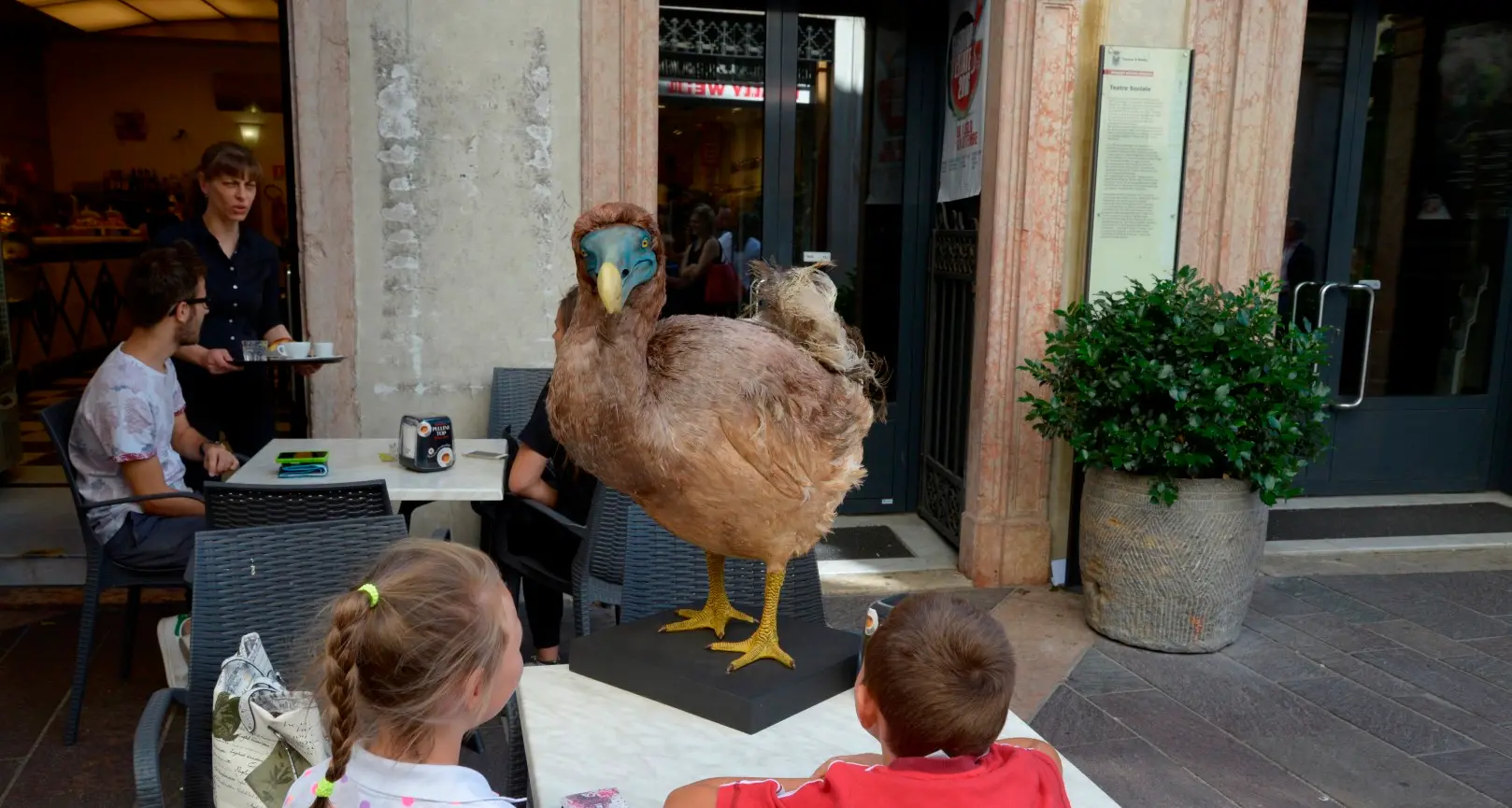 Dodo a spasso per Trento Ormai è una vera star