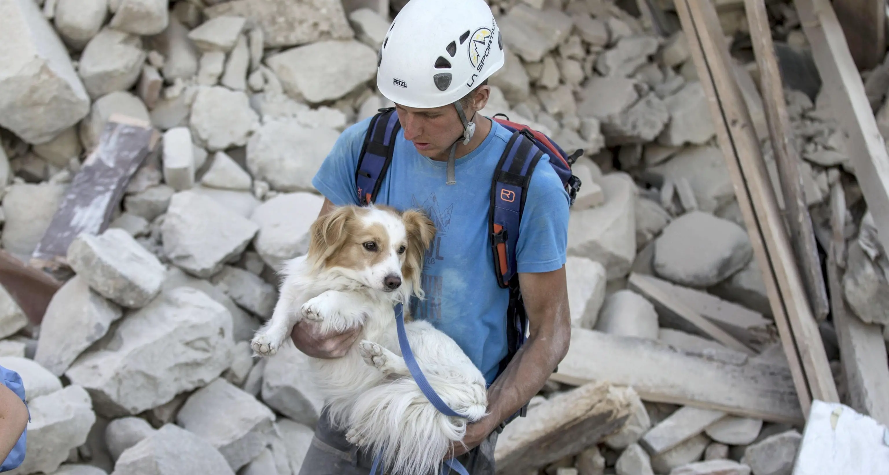Sisma, almeno 120 i morti Renzi: ricoverati 368 feriti