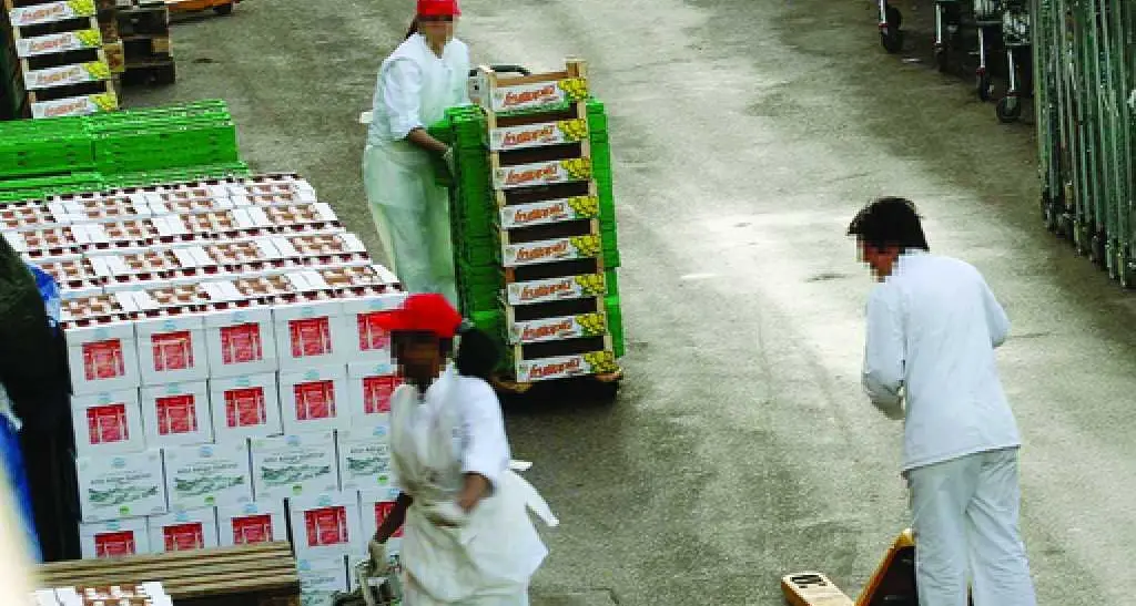 Rovereto: ladro «povero», niente processo Rubava per necessità, la procura archivia