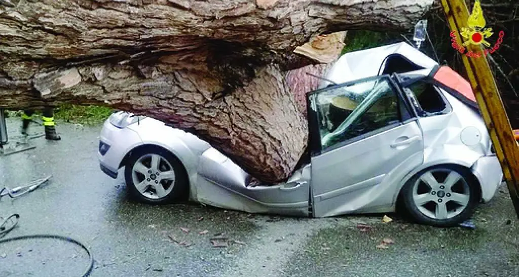 Albero travolge un'auto due morti vicino a Roma