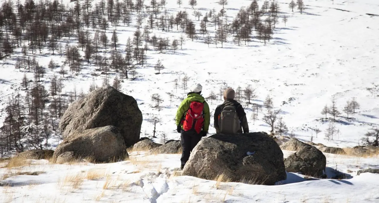«Ghost of the mountains»: il Muse sulle tracce del leopardo delle nevi