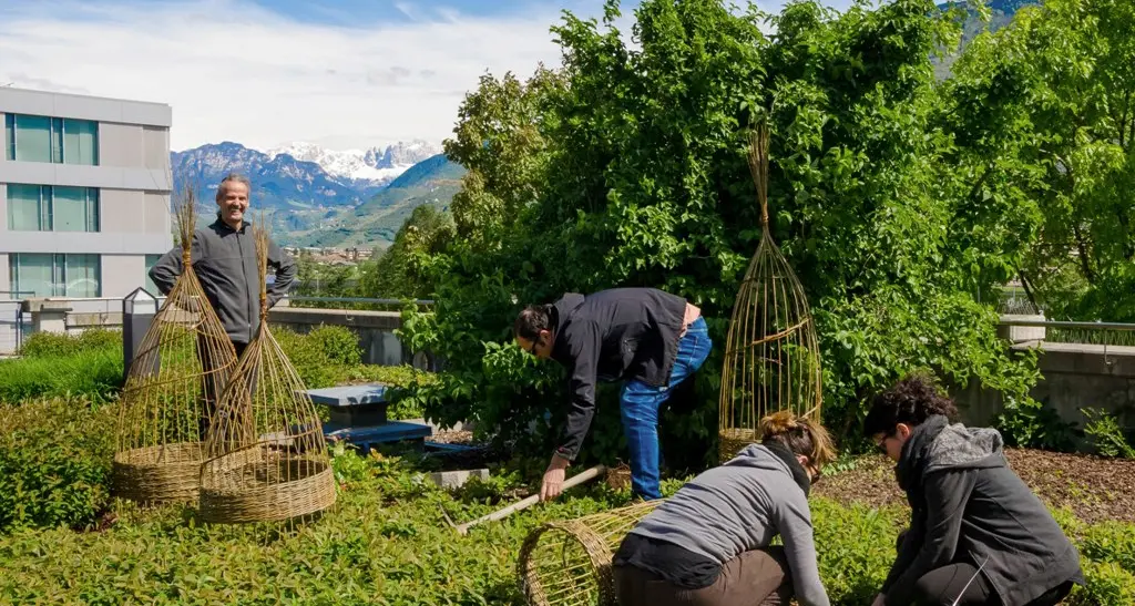 Installazioni naturali anauni in dono all'ospedale di Bolzano