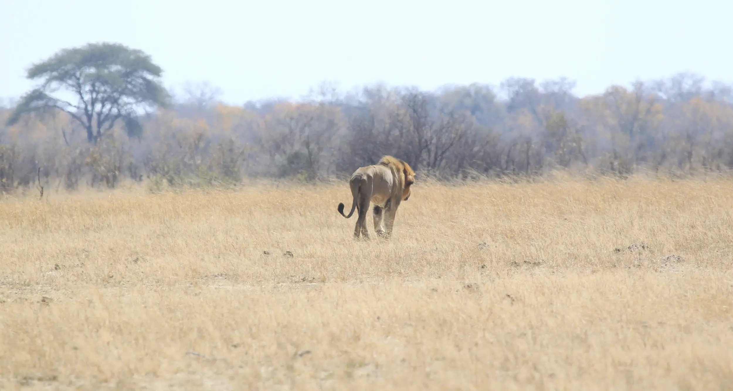 Giallo nello Zimbabwe Uccisi due italiani nel parco