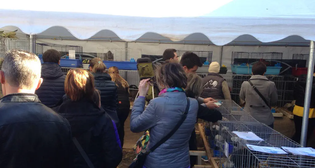 La Fiera dell'Agricoltura invece che a San Giuseppe quest'anno è in ottobre