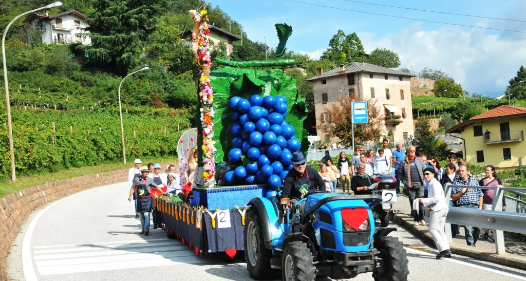 Festa dell'Uva, la novità sarà il \"villaggio pergolato\"