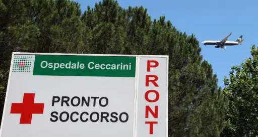 Litiga con animatore e gli stacca un orecchio a morsi
