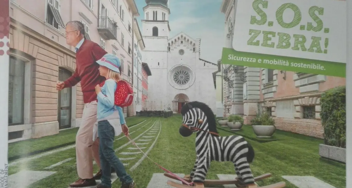 Anche il Trentino aderisce alla campagna «Sos Zebra»