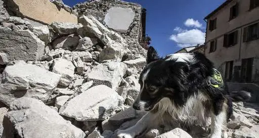 Sisma, il governo approva i primi provvedimenti