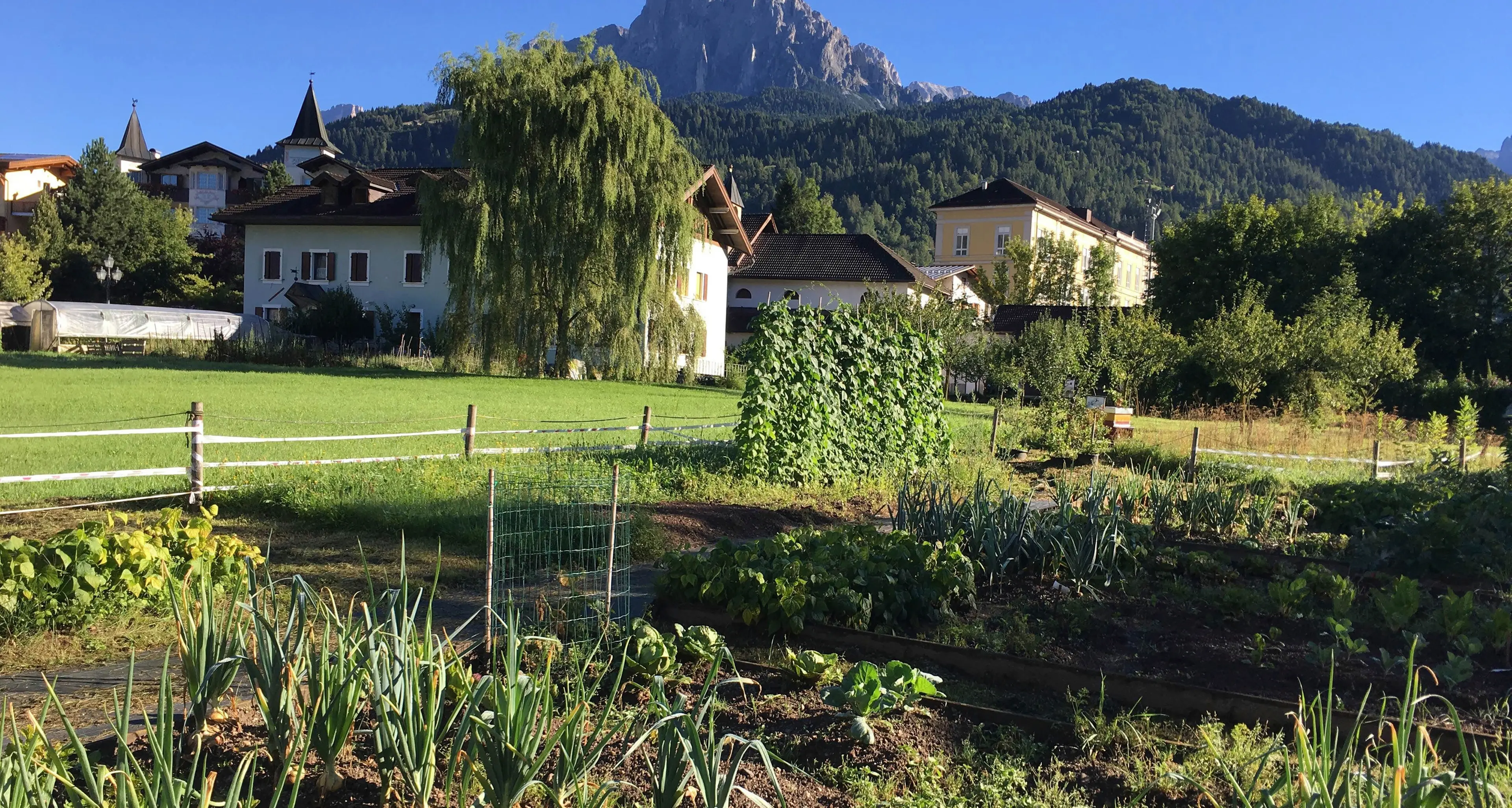 «L'orto in condotta» a Tonadico fa 10 anni