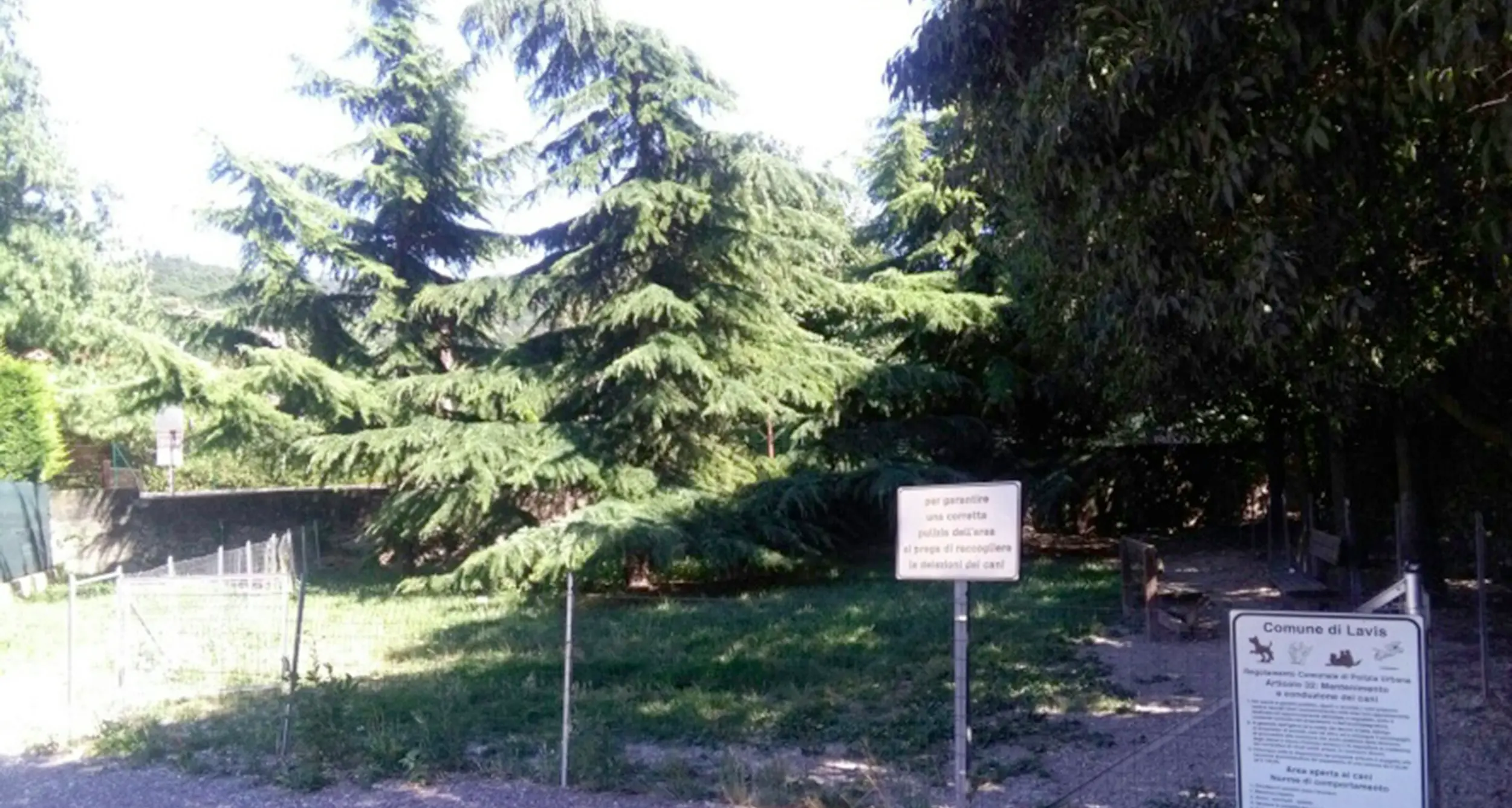 Lavis, area cani usata come una latrina