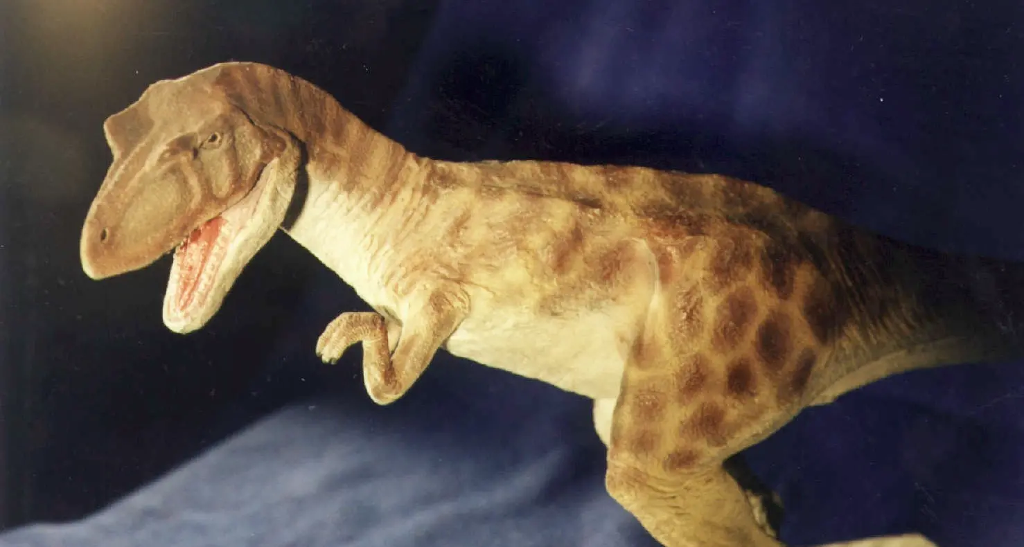 Dinosauri in Spagna Scoperta un’impronta