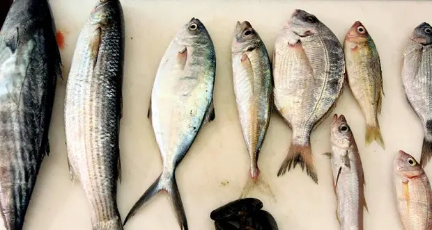 Dieta da rientro, vince il pesce per 75% italiani