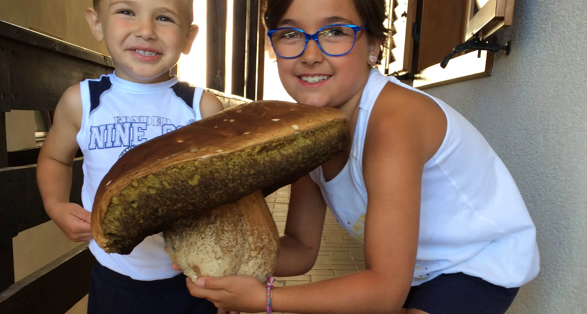 Turista trova un porcino gigante: 2,4 chilogrammi