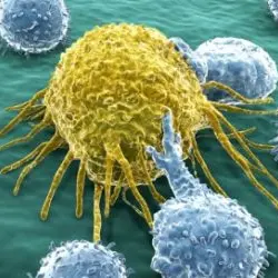 CRISPR ci aiuterà a combattere il cancro?