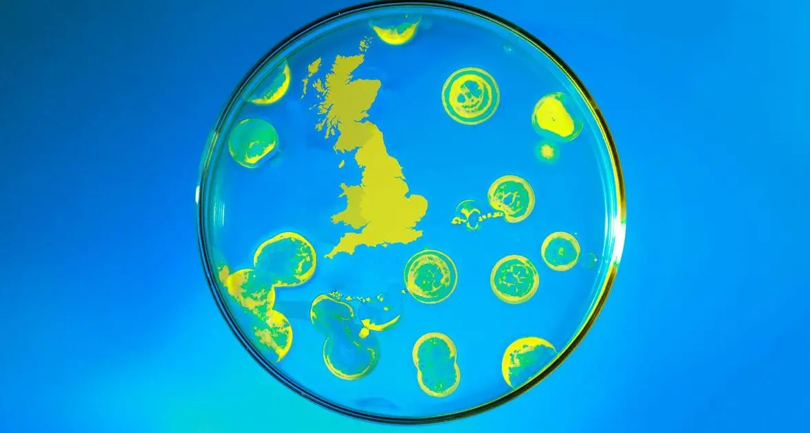 Il Brexit contro la Scienza, la Scienza contro il Brexit
