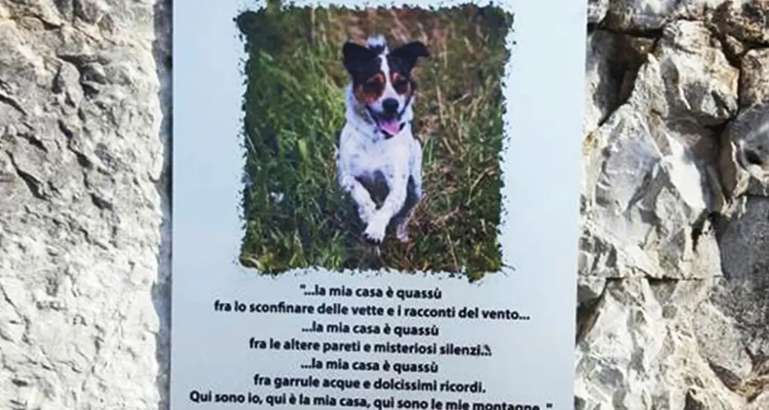 Pasubio, targa per Arturino E scoppia la polemica