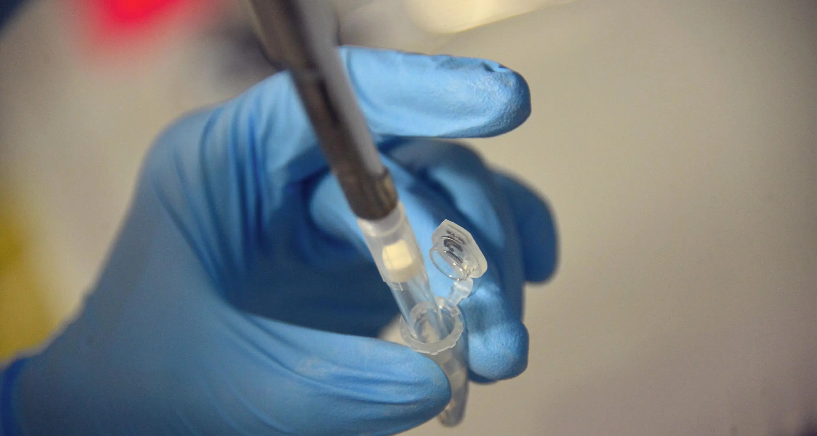 Lotta all’Atrofia muscolare Scoperta biotech a Trento