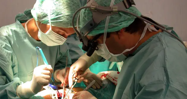 Fegato invecchia meno se trapiantato in un giovane
