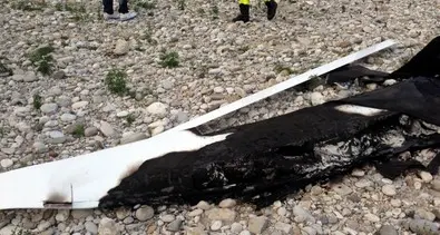 Cade aereo ultraleggero Due morti a Cremona