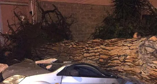 Maltempo, due morti e vari feriti nel Lazio