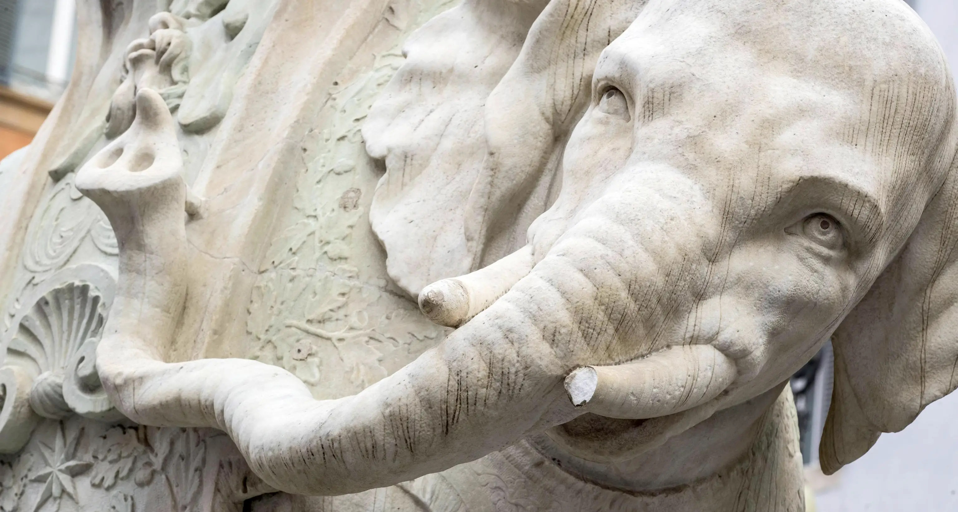 Roma, danneggiato dai vandali l'Elefante del Bernini