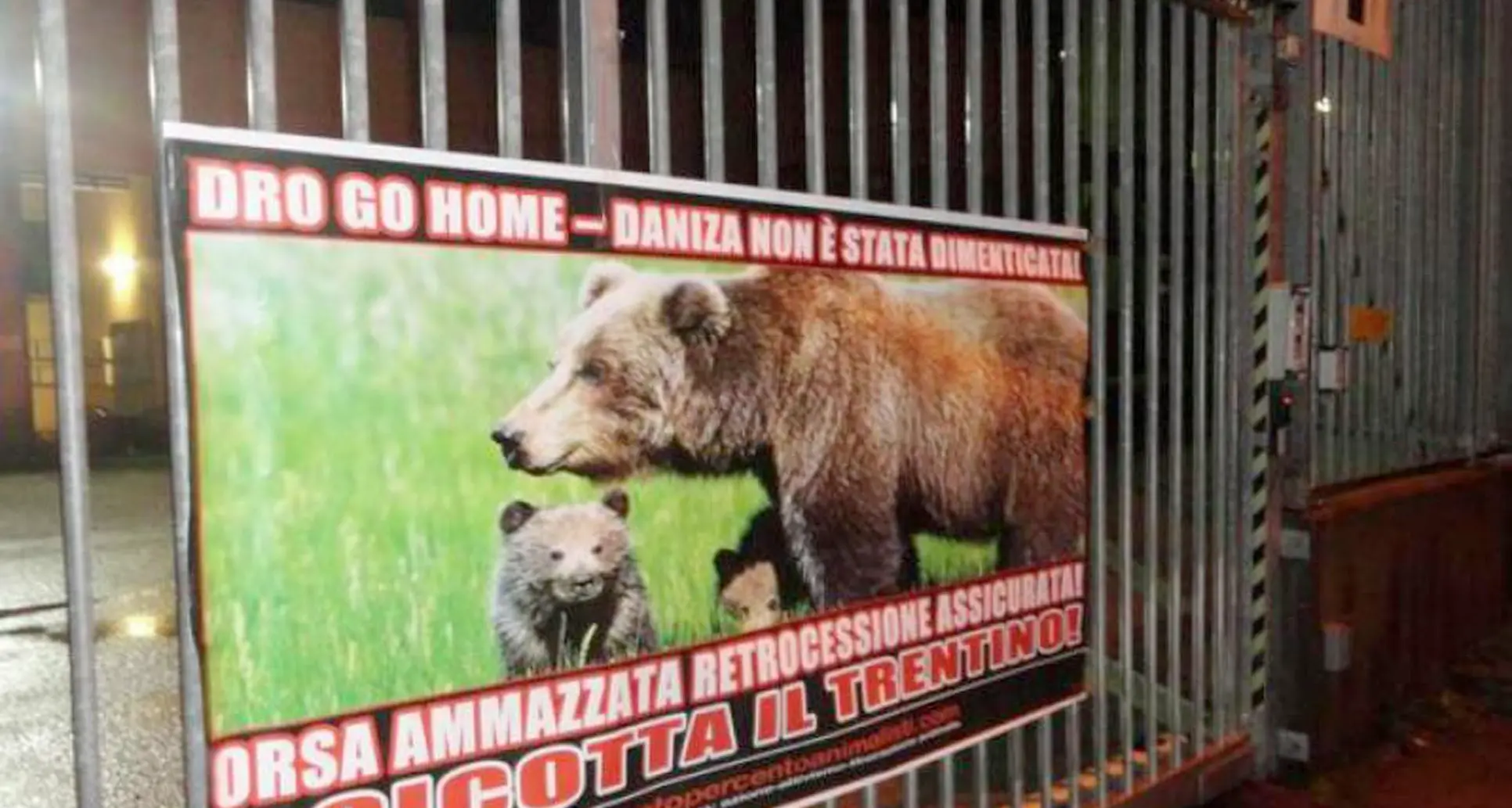 Contestazioni per la morte di Daniza Assolti gli otto animalisti sotto accusa