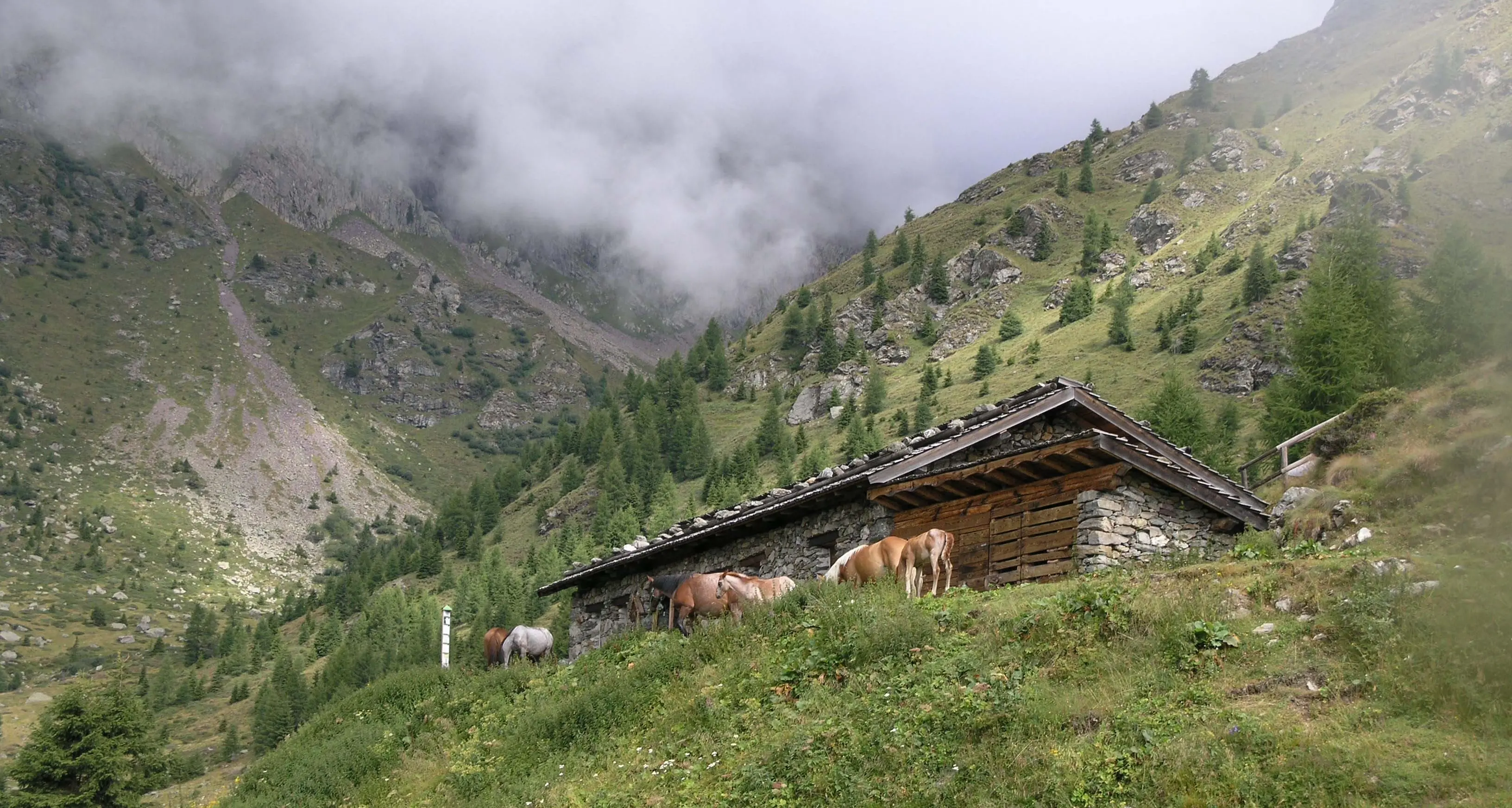 Legambiete boccia la legge sui parchi
